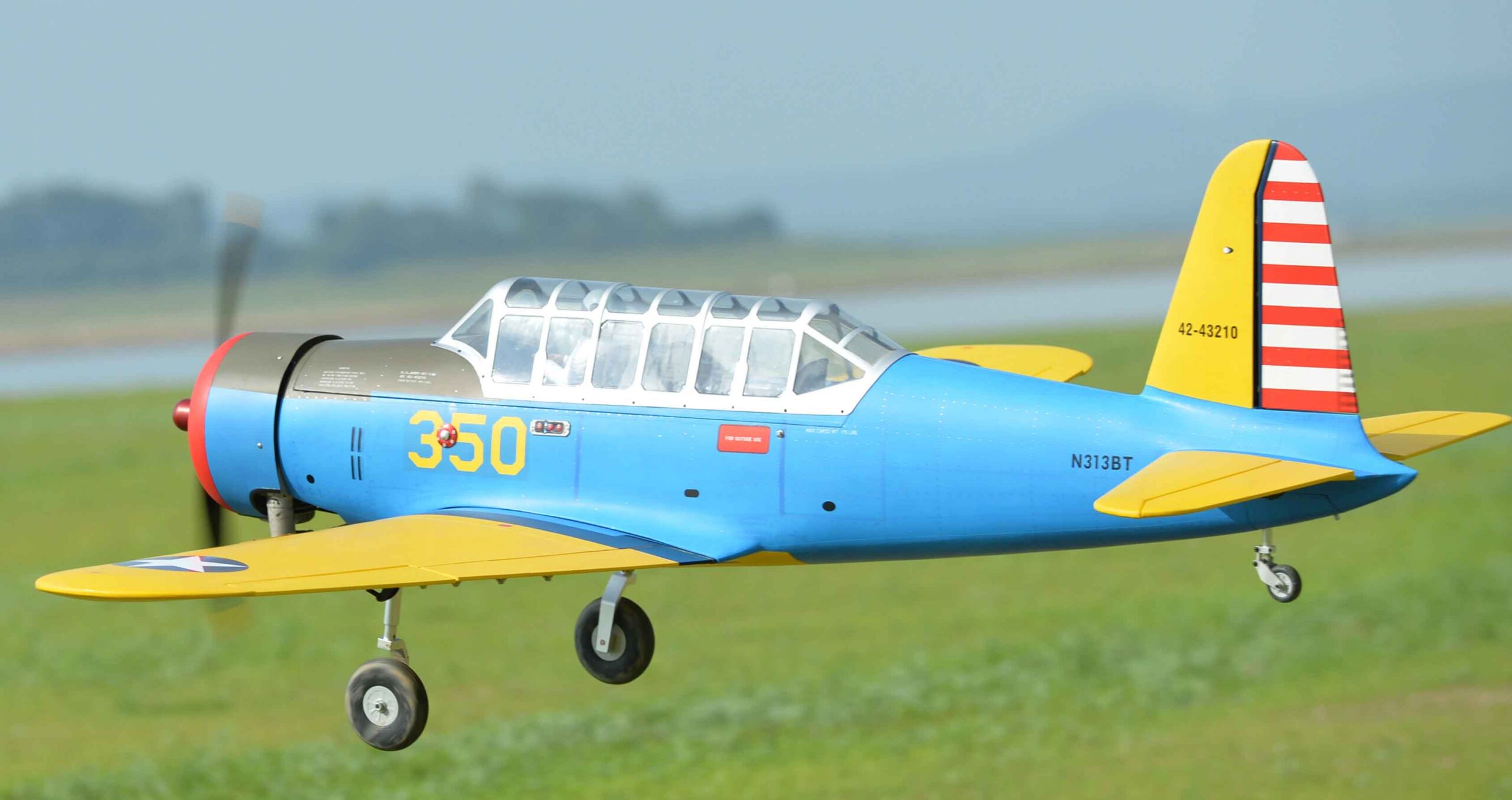 black-horse-bt-13-bh209-rc-flugzeug-arf-2286mm-50-60cc image 2