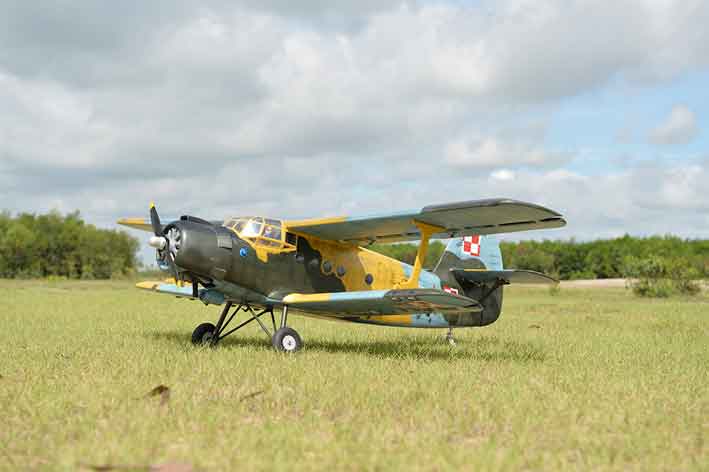 black-horse-bh186-antonov-an-2-rc-flugzeug-arf-2425-mm image 4