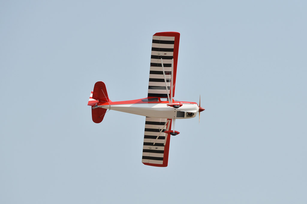 black-horse-bh150-super-decathlon-2450mm-arf-30cc image 7