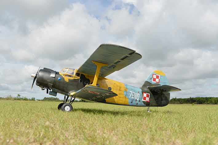 black-horse-bh186-antonov-an-2-rc-flugzeug-arf-2425-mm image 5