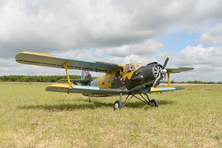 black-horse-bh186-antonov-an-2-rc-flugzeug-arf-2425-mm image 6