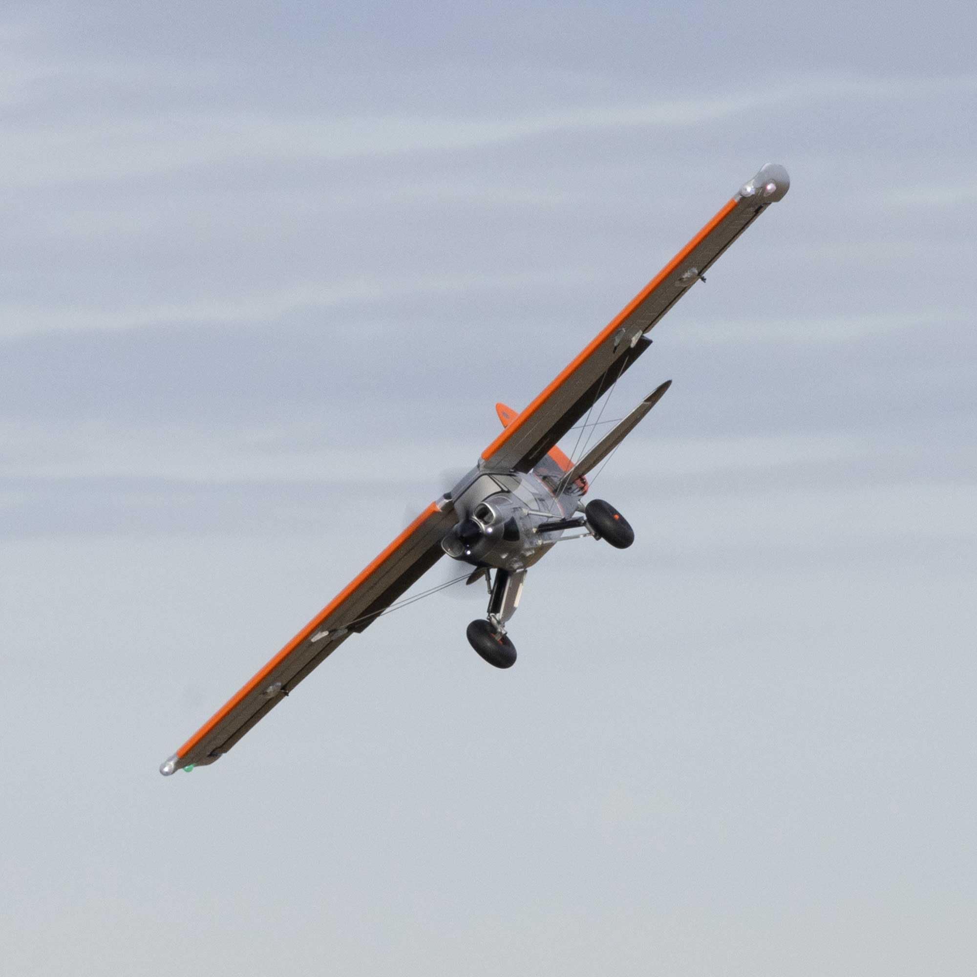 e-flite-micro-scrappy-800mm-bnf-basic-brushless image 8