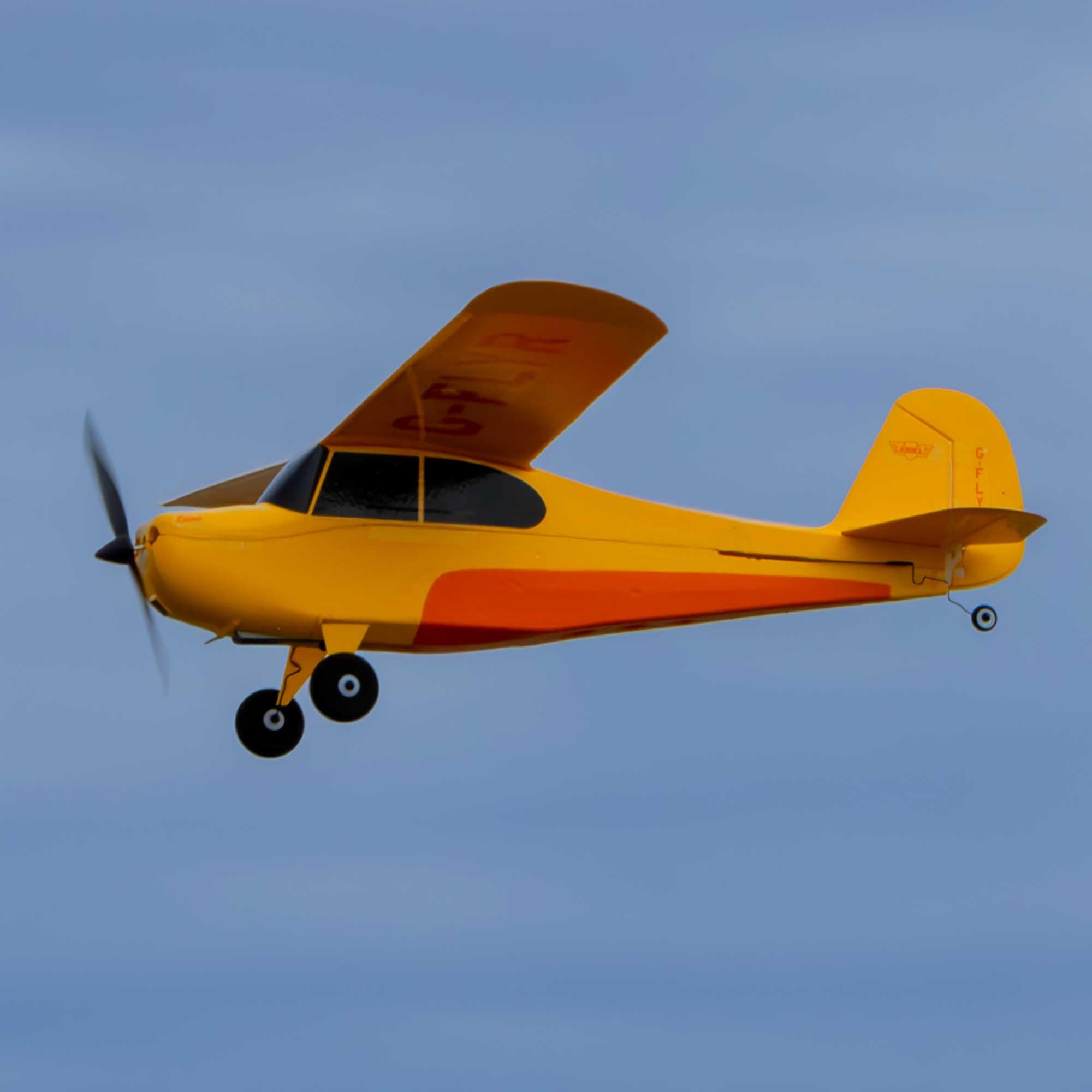 hobbyzone-champ-515mm-anniversary-bnf-basic-rc-trainer-mit-safe image 2