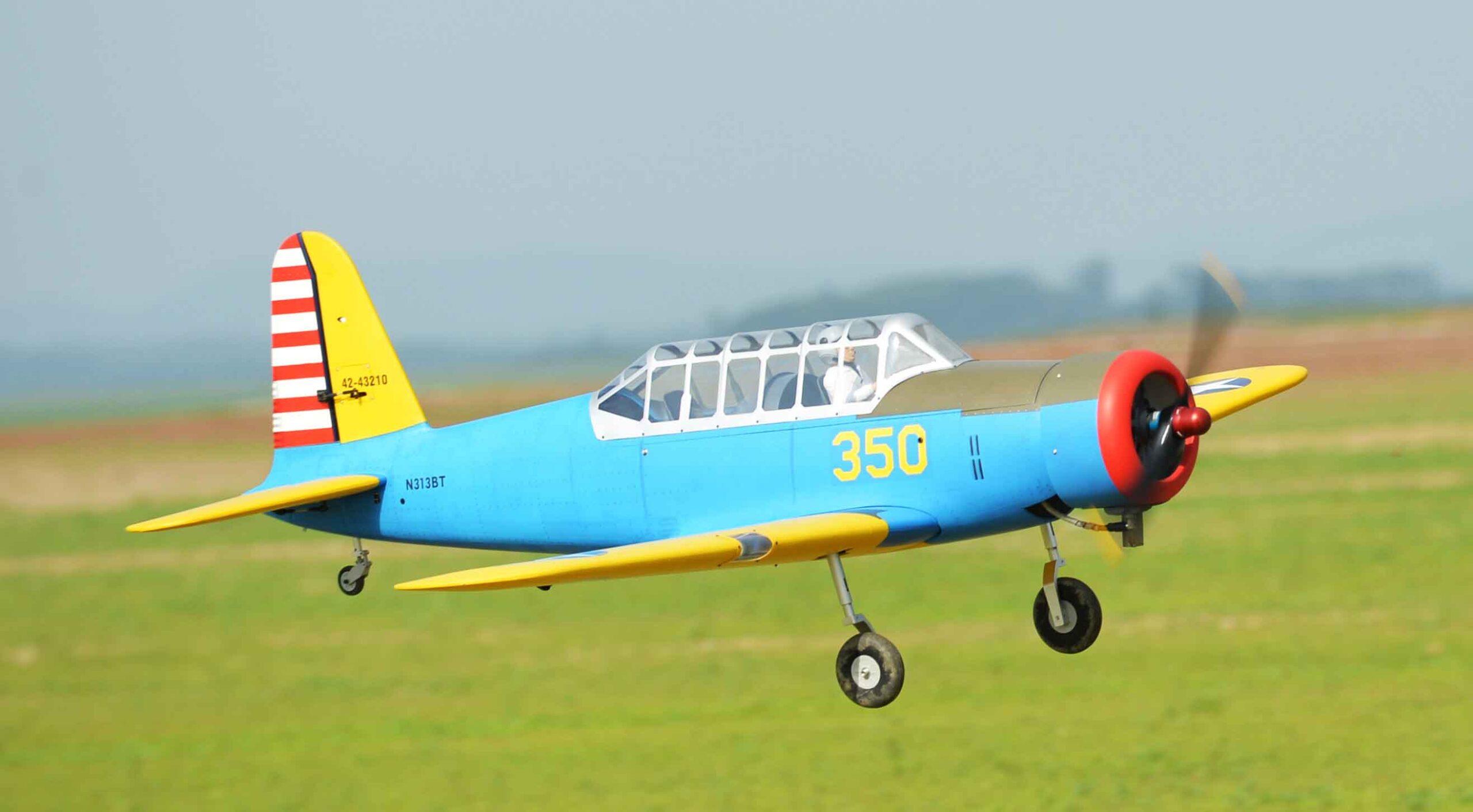 black-horse-bt-13-bh209-rc-flugzeug-arf-2286mm-50-60cc image 7