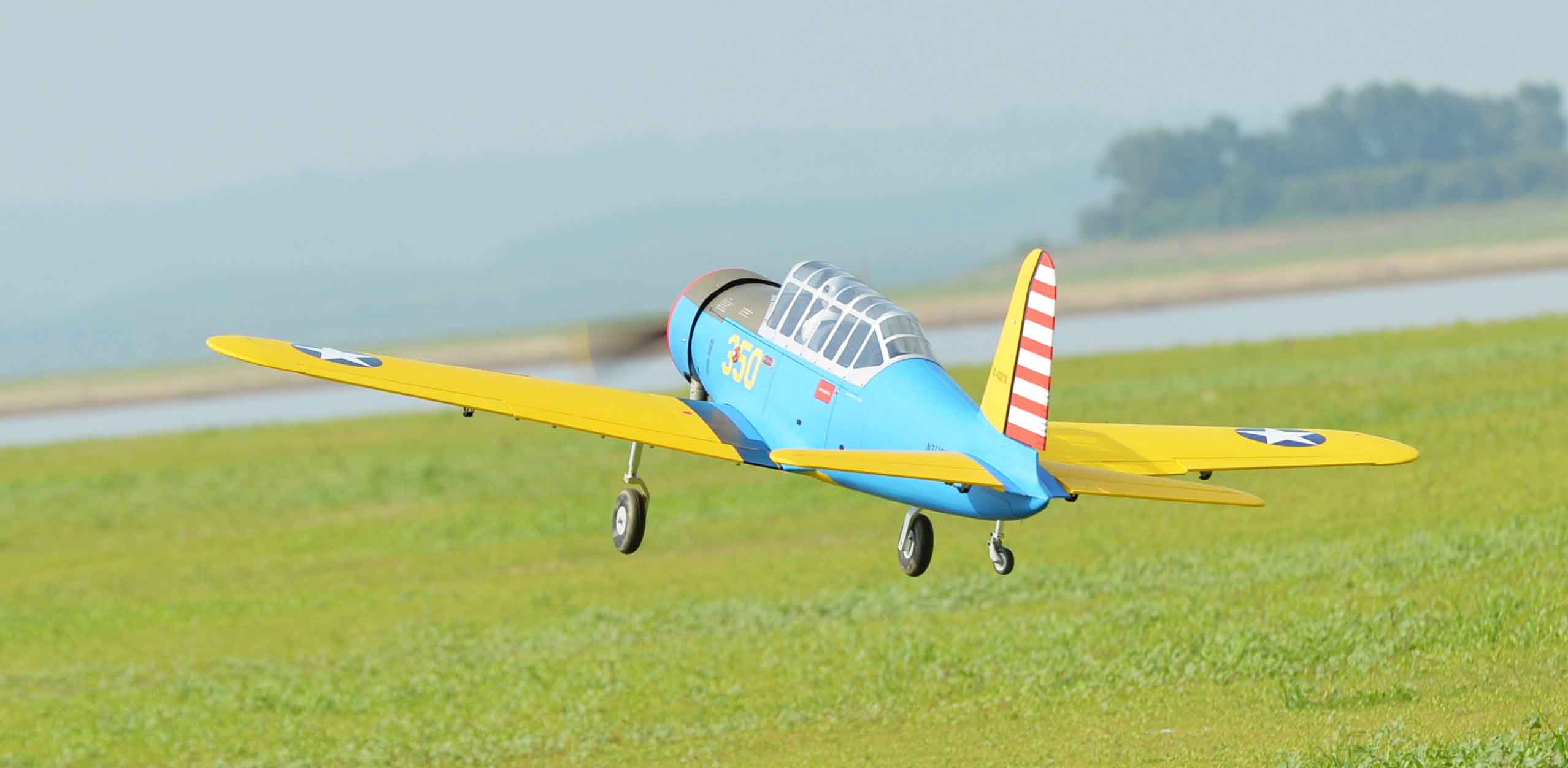black-horse-bt-13-bh209-rc-flugzeug-arf-2286mm-50-60cc image 3