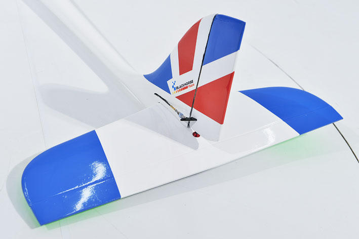 black-horse-glider-bh203-prabus-segler-2640mm-elektro image 5