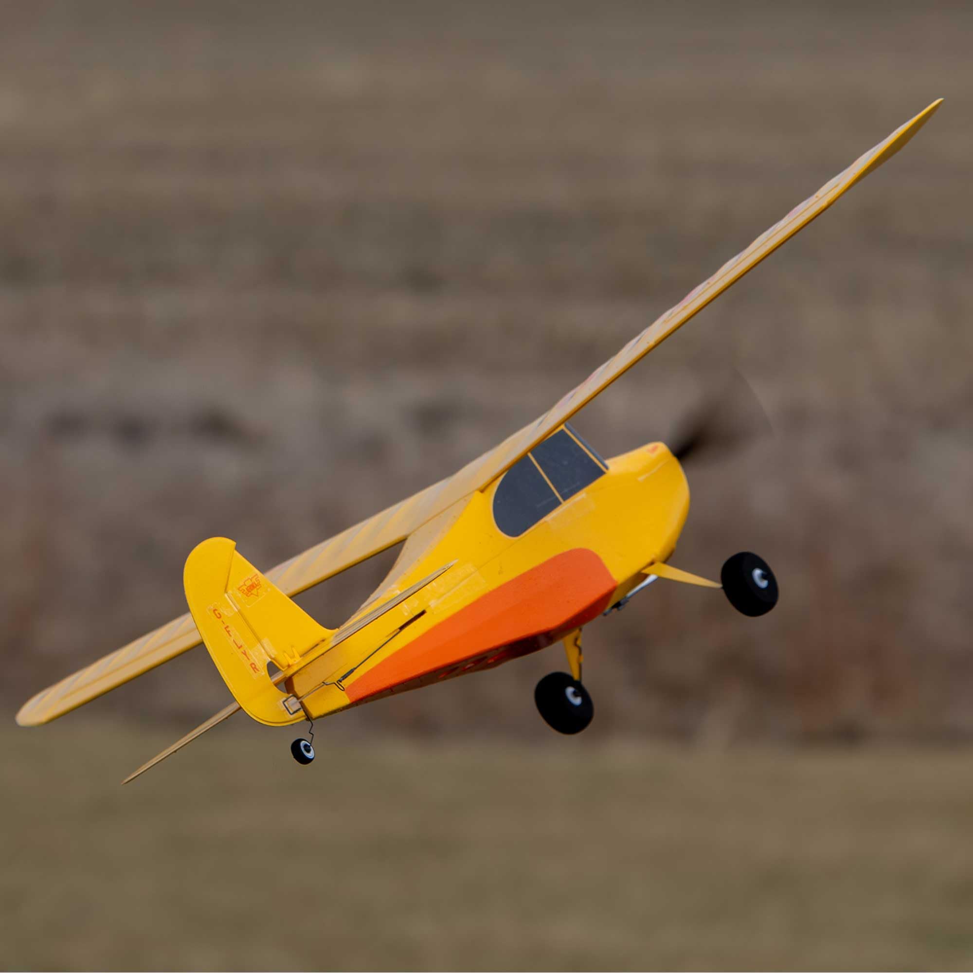 hobbyzone-champ-515mm-anniversary-bnf-basic-rc-trainer-mit-safe image 3